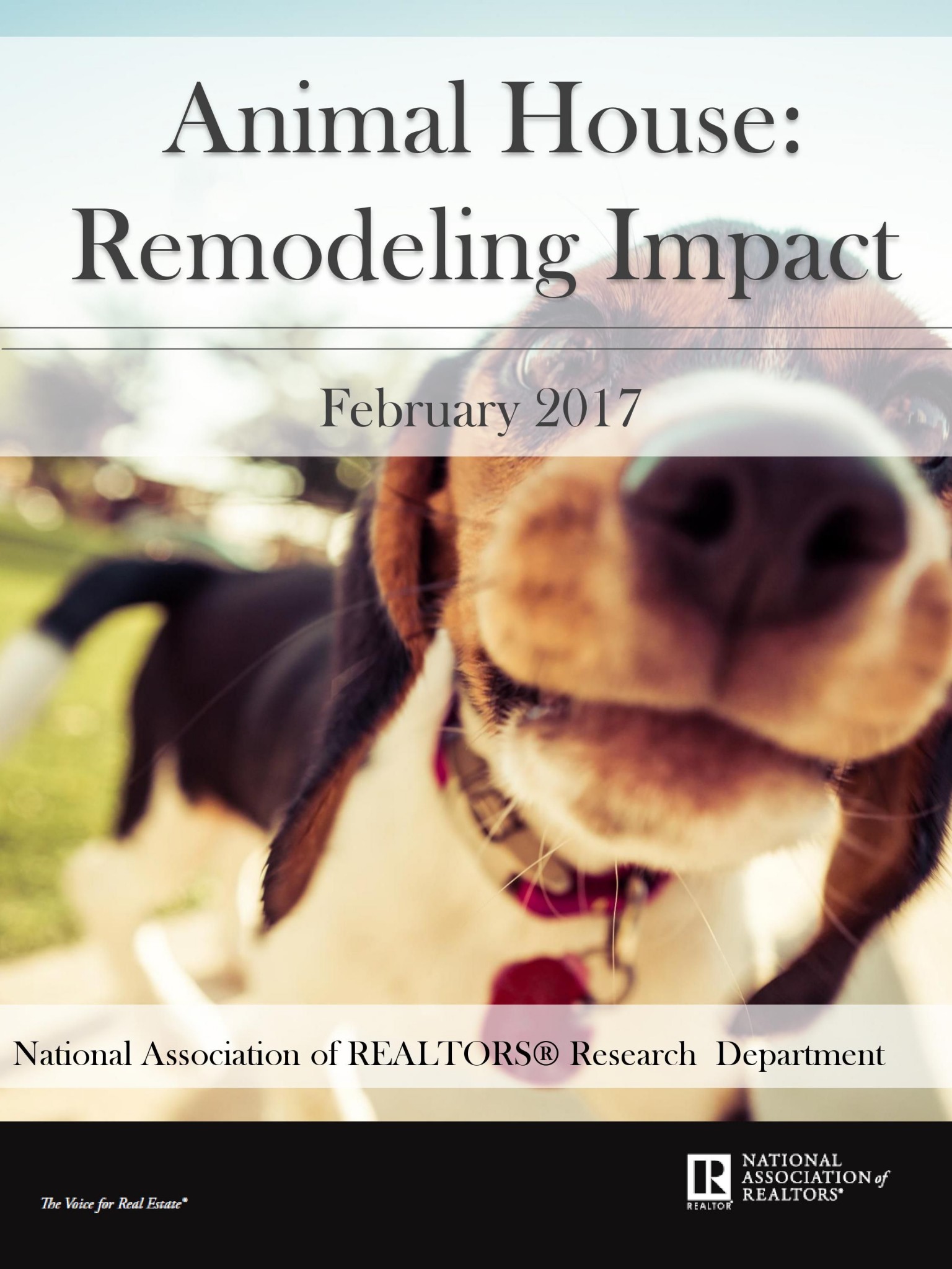 How Pets Impact Home Buyers & Home Sellers Decisions