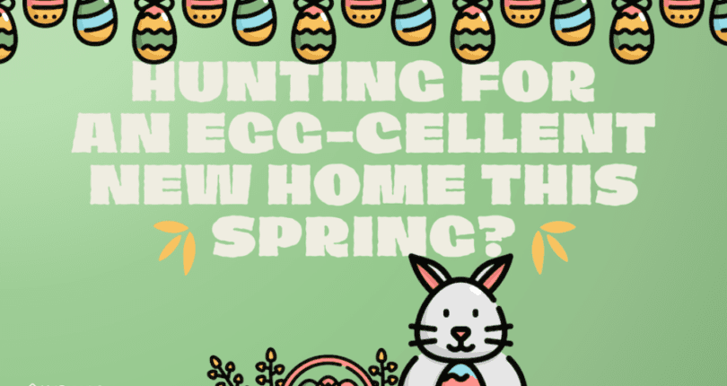 Find Your Eggcelent New Home